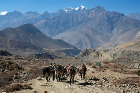 Near side of Muktinath