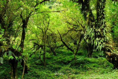 Near side of Tadapani