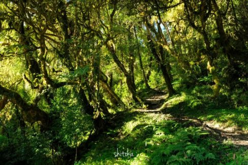 Near side of Tadapani