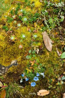 Near side of Lamjura La