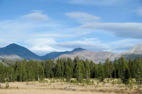 Tuolumne Meadows