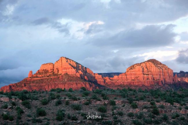 Cathedral Rock Trail