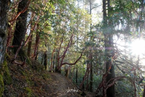 Near side of Shin Gompa