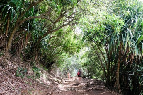 Pololu Valley