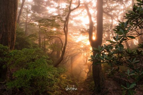 高塚小屋前の西陽