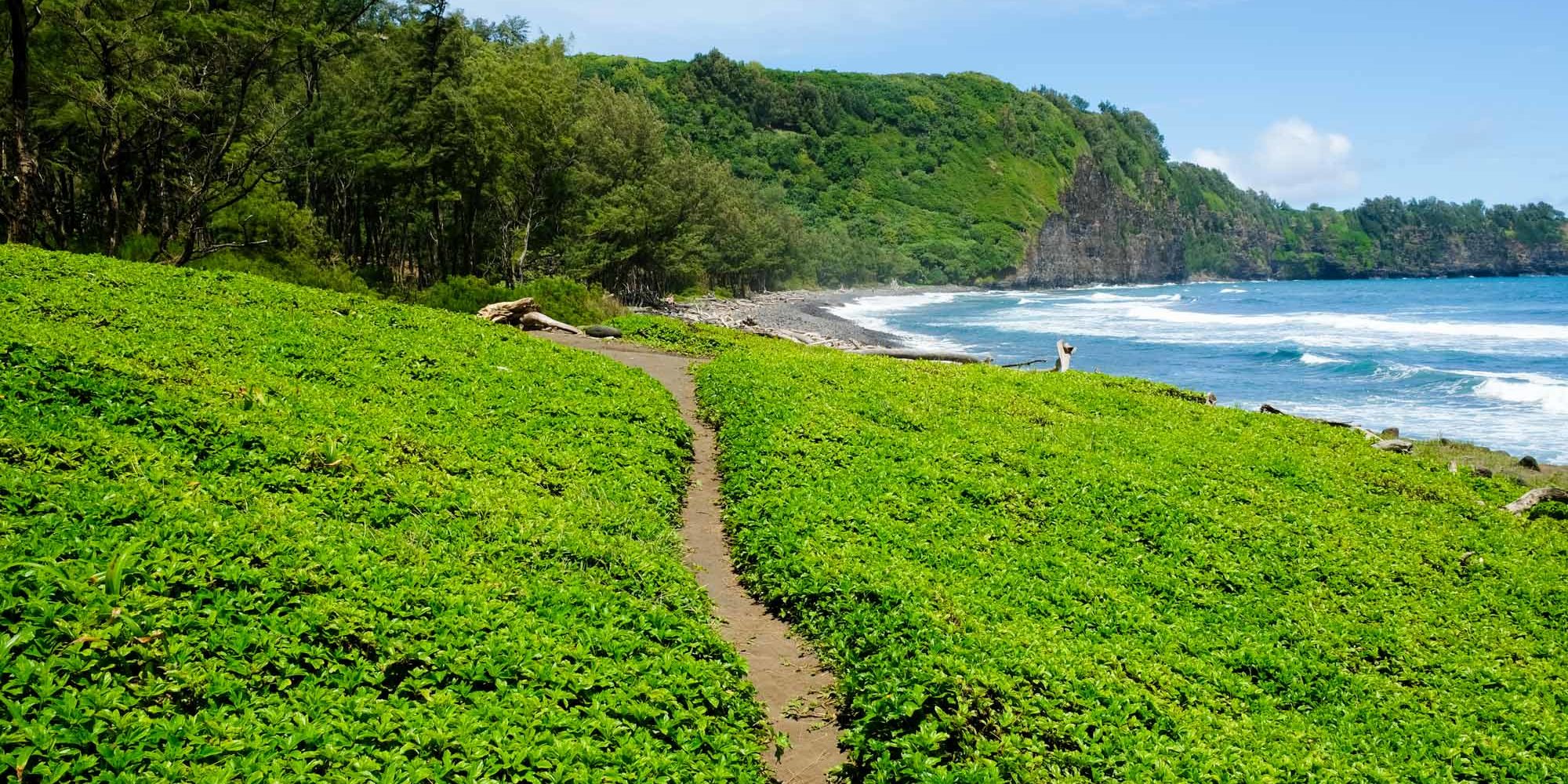 Big Island Hike - #2 Pololu Valley Trail - Walk on Earth