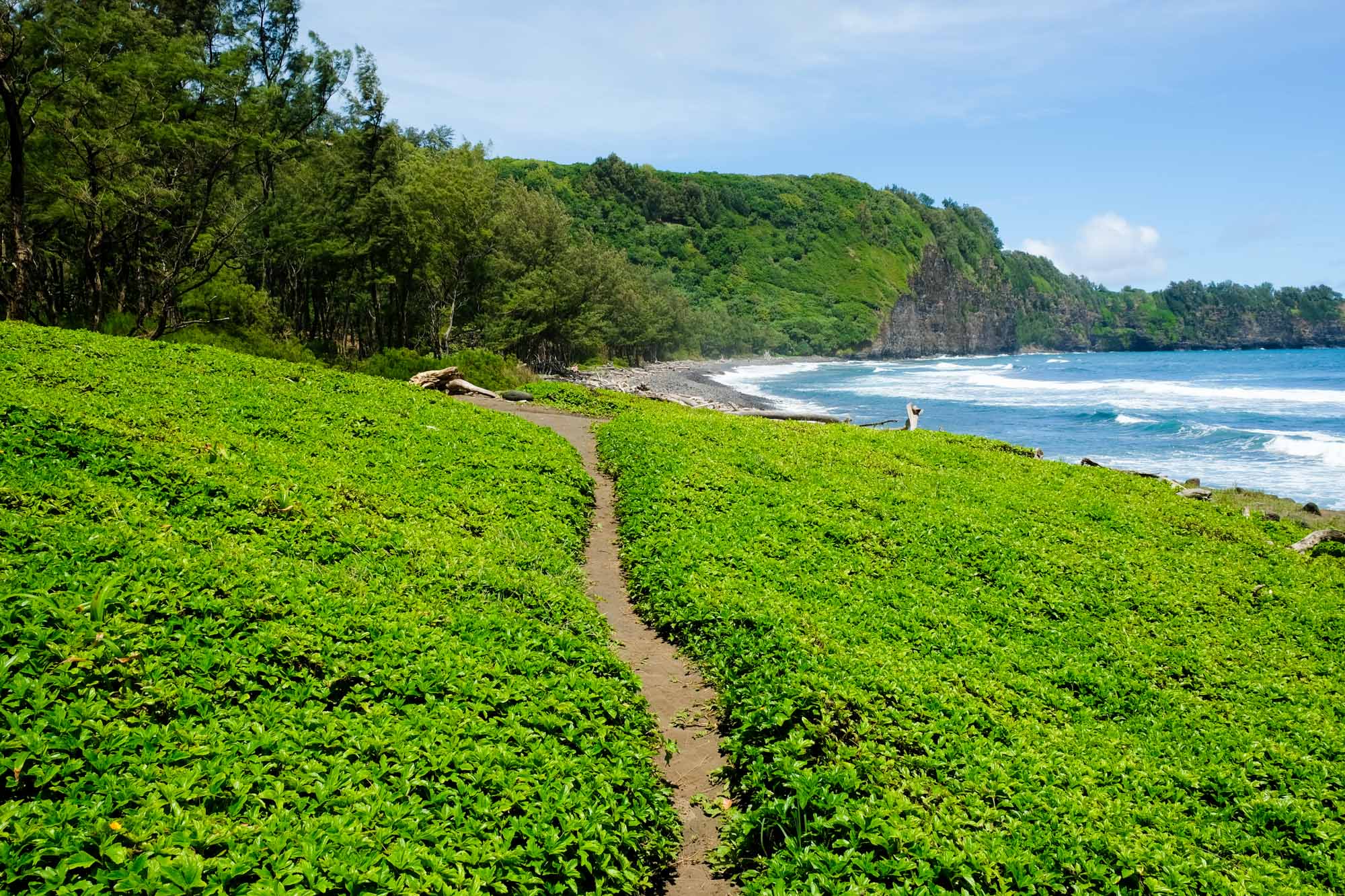 Big Island Hike - #2 Pololu Valley Trail - Walk on Earth 