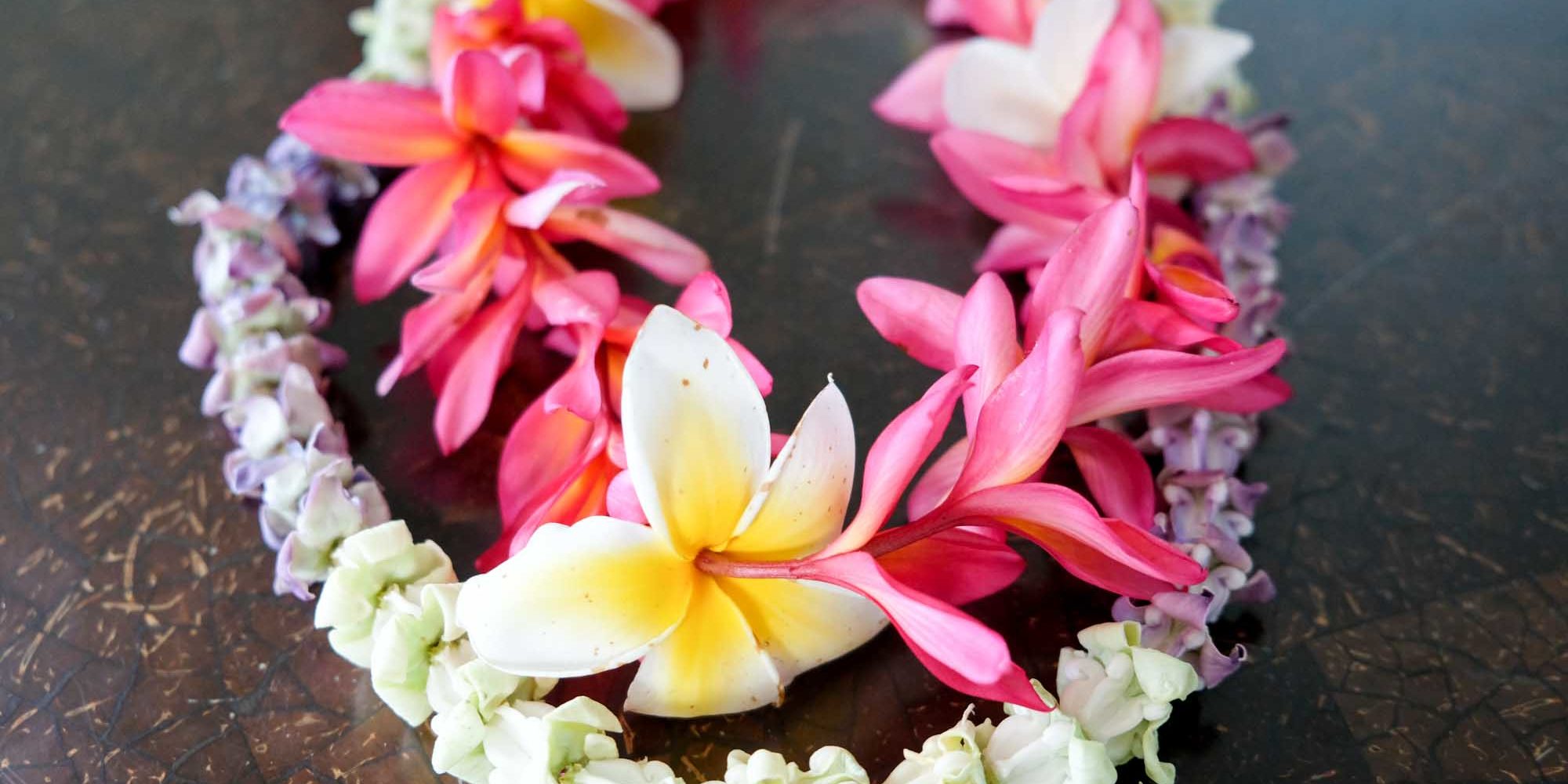 クラウンフラワーとプルメリアのレイ