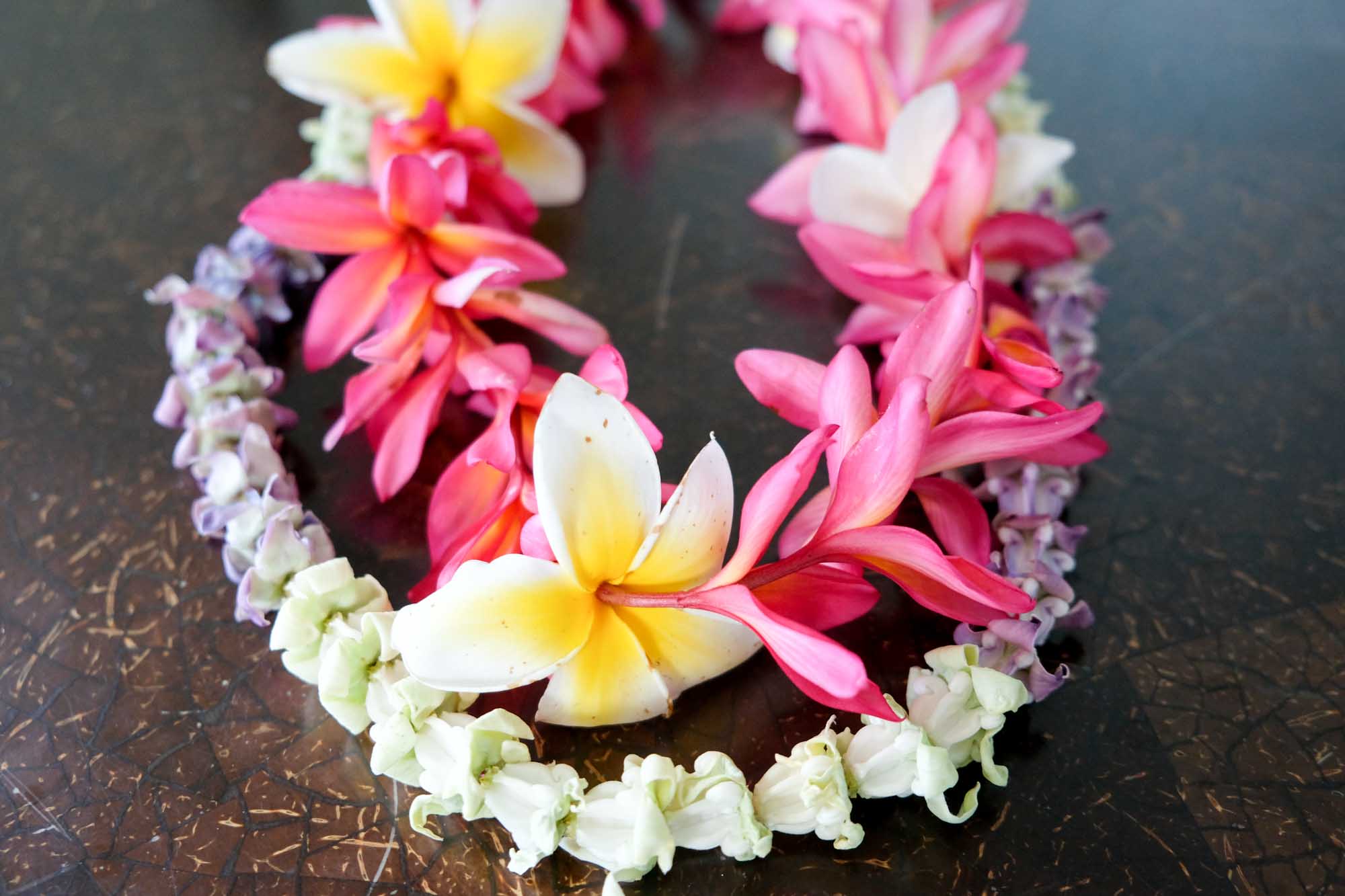 クラウンフラワーとプルメリアのレイ