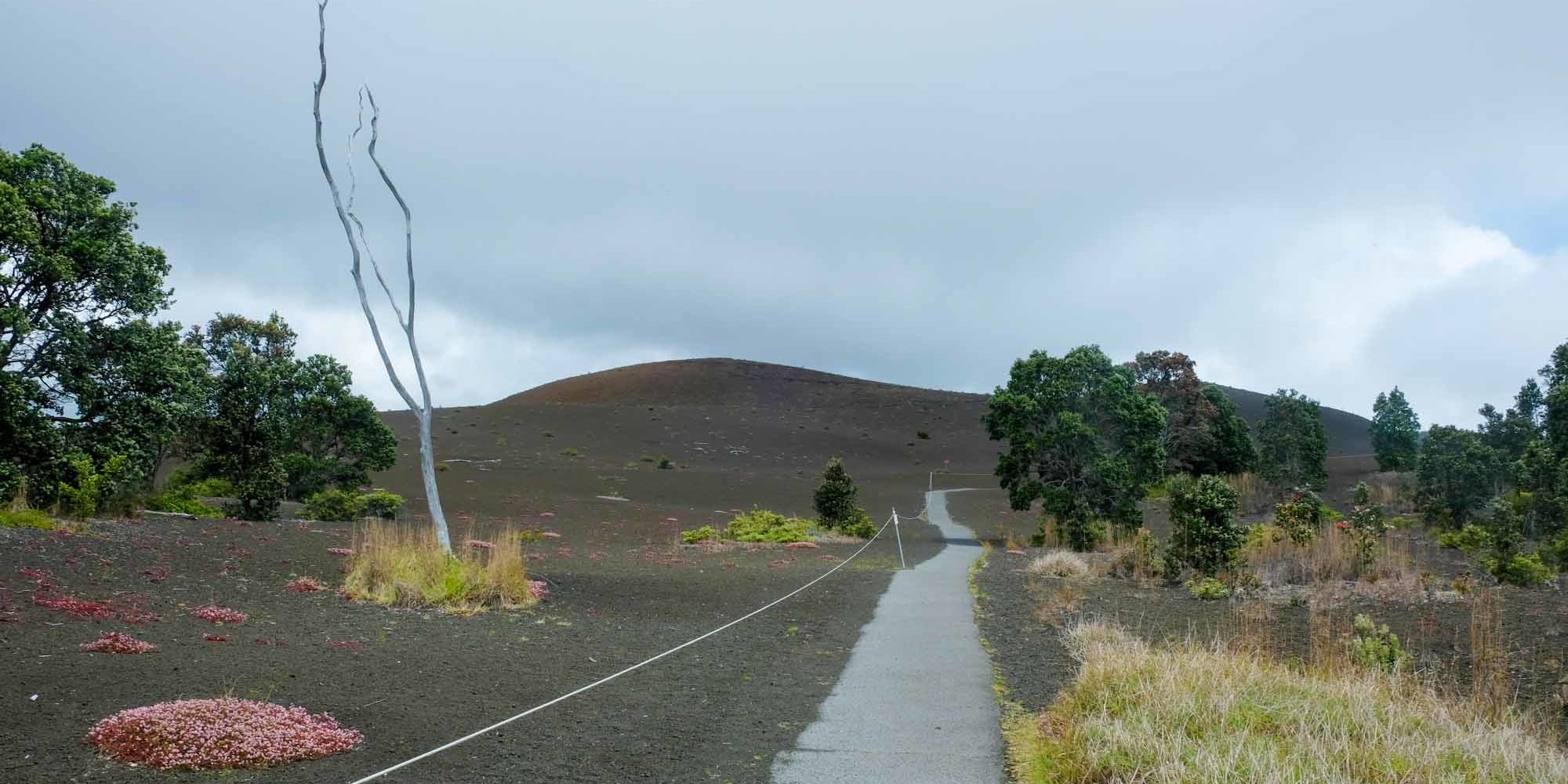 Desvation Trail