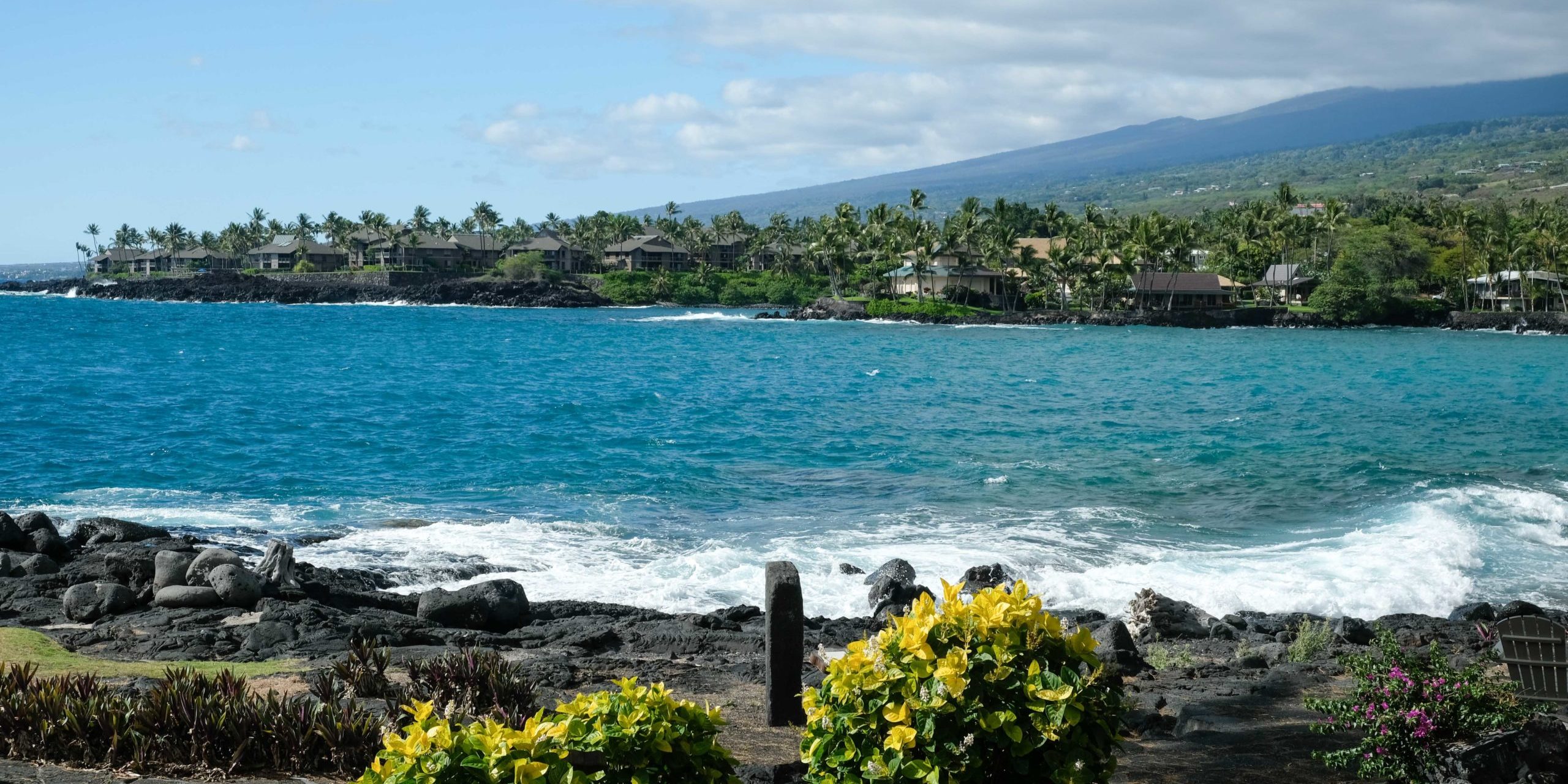 フラレッスン フラレッスン