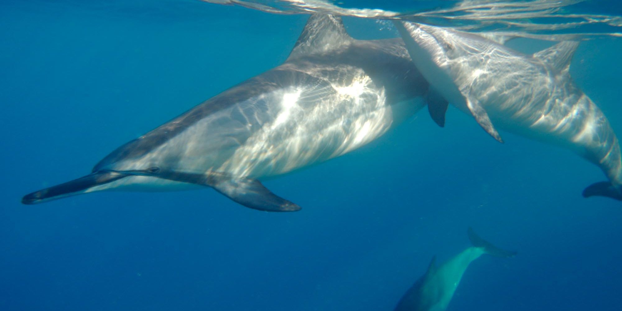 Big Island of Hawaii Big Island of Hawaii