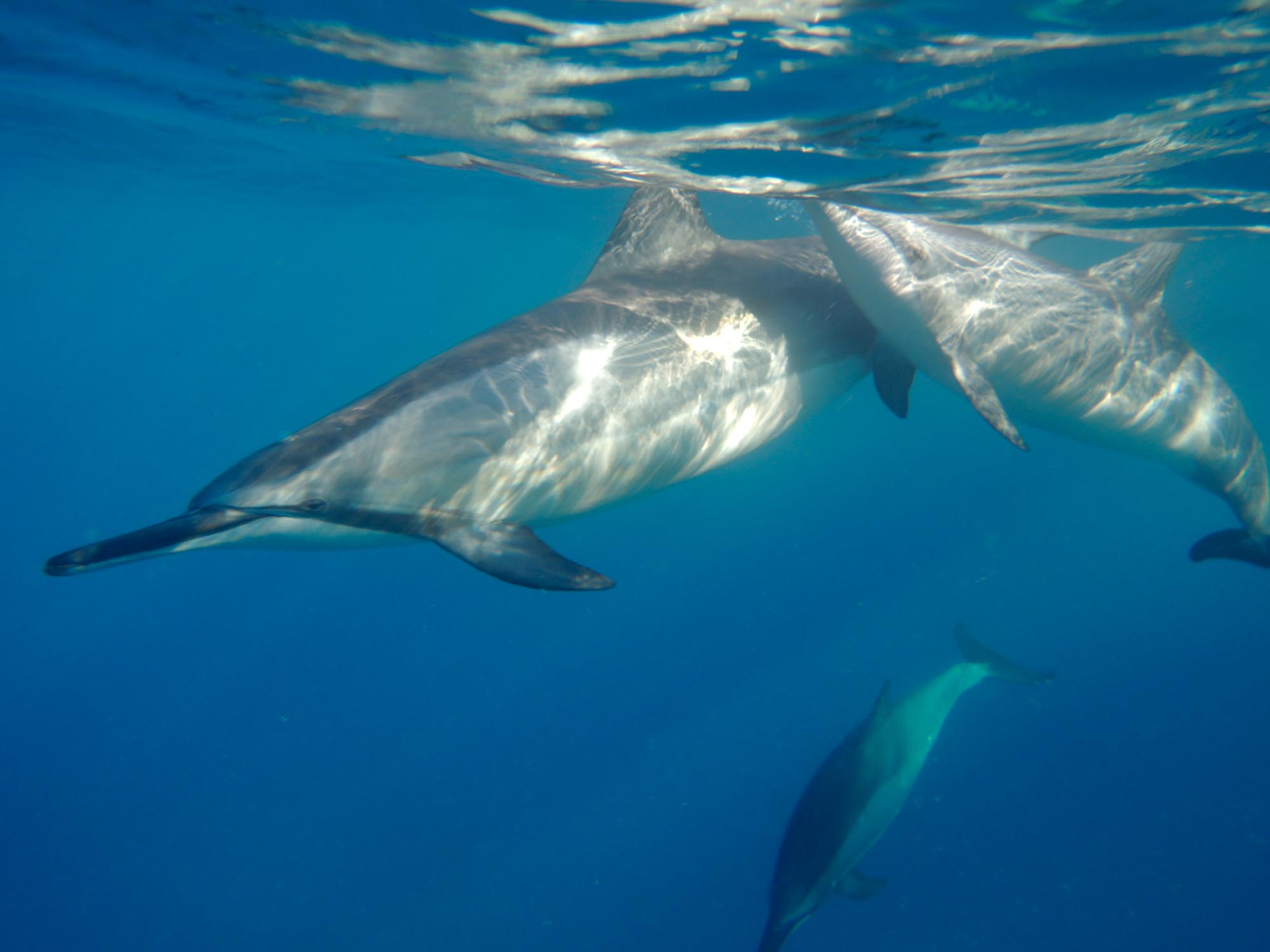 Big Island of Hawaii