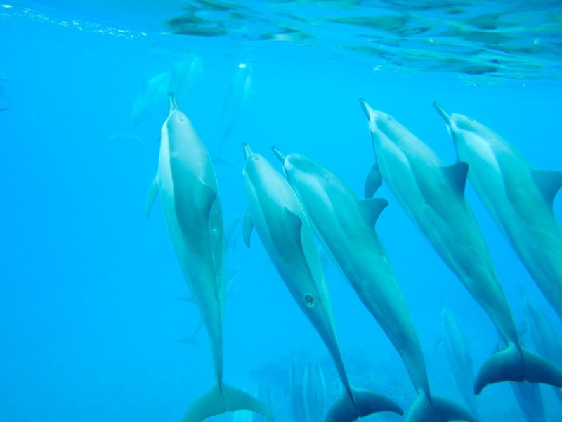 Big Island of Hawaii