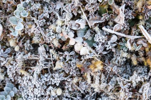 high camp to badal danda