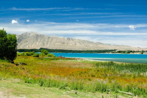 Tekapo
