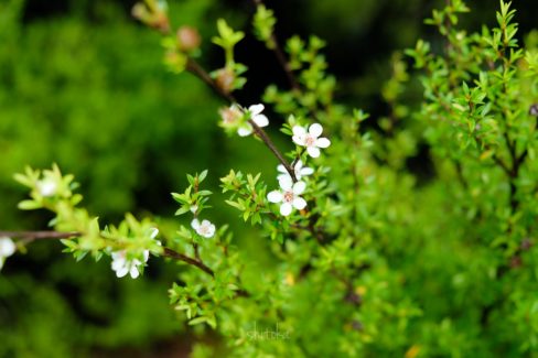 Abel Tasman Coast Track