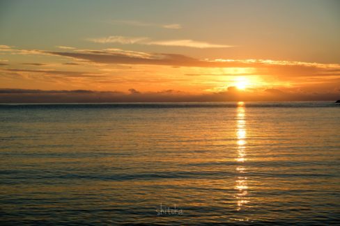 Abel Tasman Coast Track