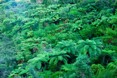 Abel Tasman Coast Track