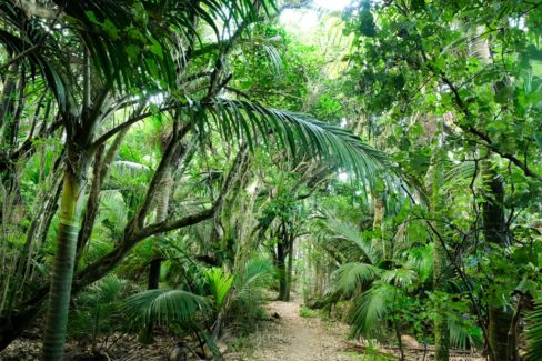 Heaphy Track